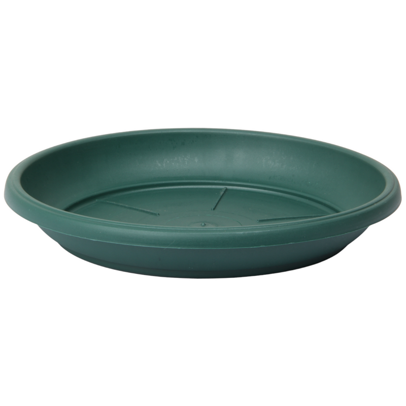 Flower Plant Pot with Saucer. Round Plastic Garden Planters. Indoor & Outdoor.