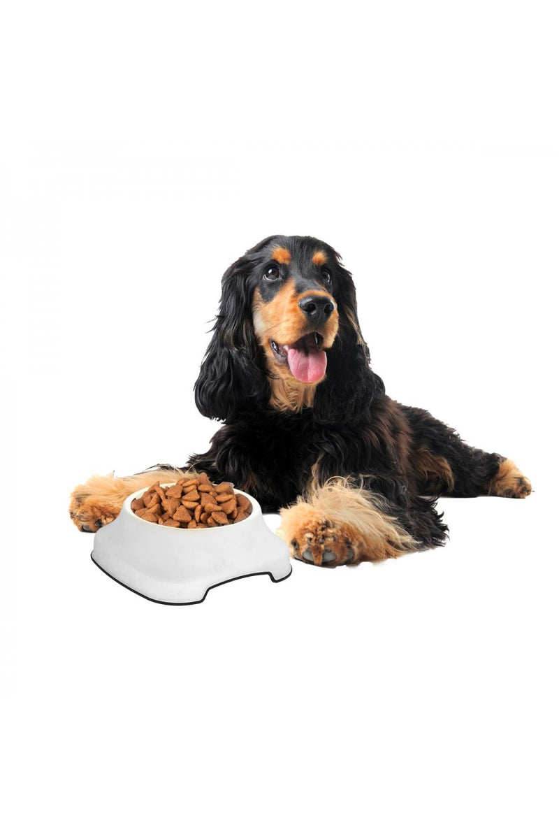 Pet Bowl. Strong Plastic Non-Slip Pet Bowl. (2 Litre)