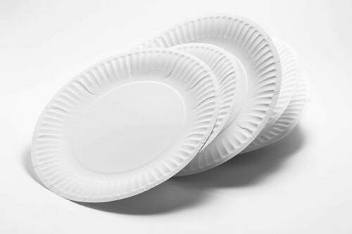 Dispo Strong Bagasse (7 inch) Biodegradable Paper Plate (Box of 1000).