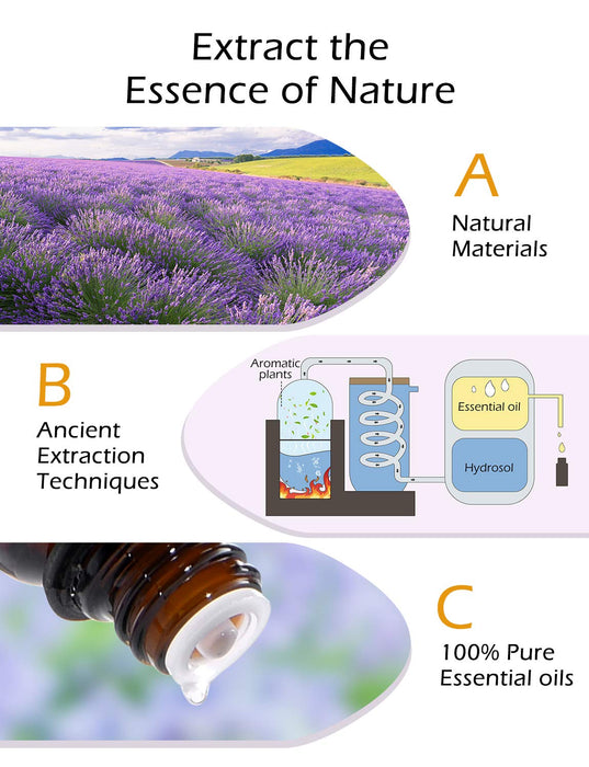 Essential Oils Diffuser. Oil Diffusers with 6 Pure Oils