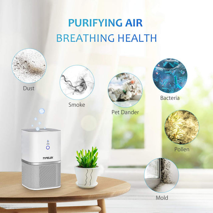 Air Purifier Air Cleaner. True HEPA and ION. Room Purifier. 2-Wind Speed.