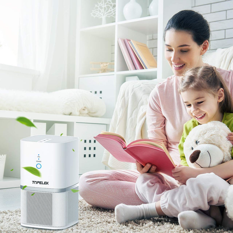 Air Purifier Air Cleaner. True HEPA and ION. Room Purifier. 2-Wind Speed.