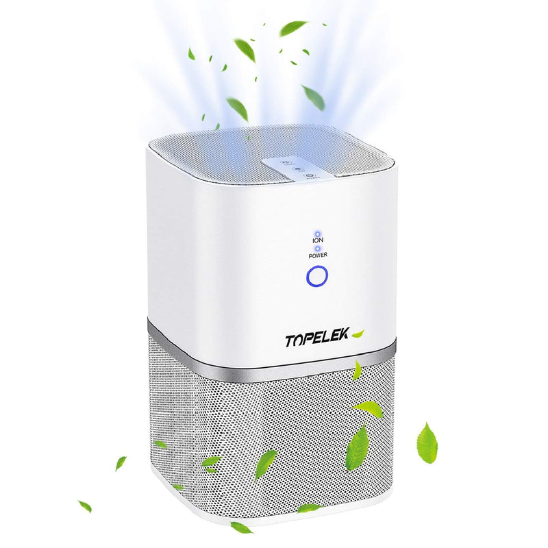 Air Purifier Air Cleaner. True HEPA and ION. Room Purifier. 2-Wind Speed.