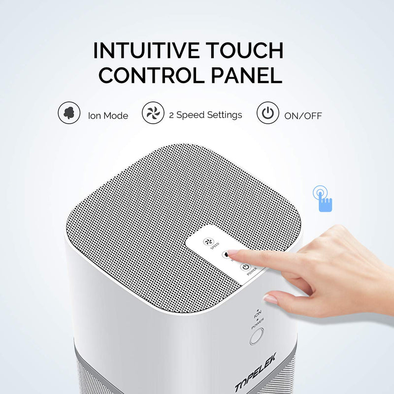 Air Purifier Air Cleaner. True HEPA and ION. Room Purifier. 2-Wind Speed.