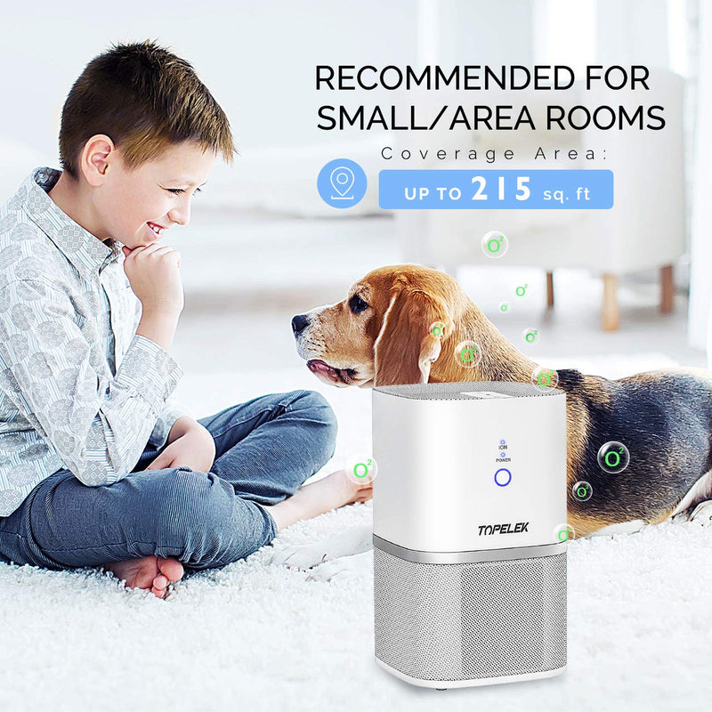 Air Purifier Air Cleaner. True HEPA and ION. Room Purifier. 2-Wind Speed.