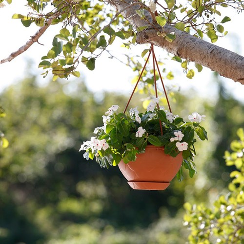 Products Outdoor Hanging Plant Pots. Flower Pot with Saucer. Garden Hanging Stylish Pot. (3 Litre)