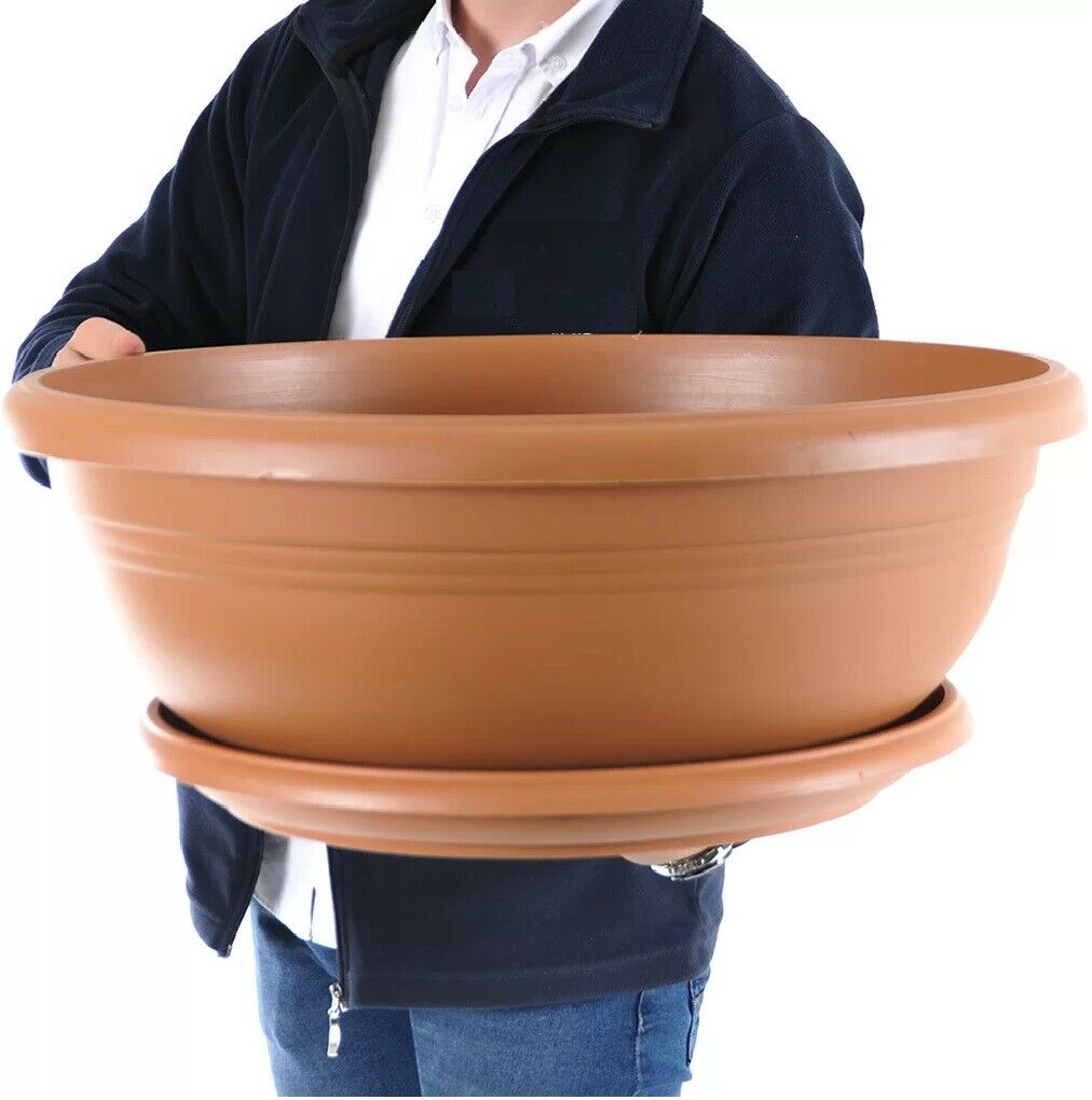 Wide Shallow Flower Pots with Saucer. Plastic Succulent Planter. (Diam