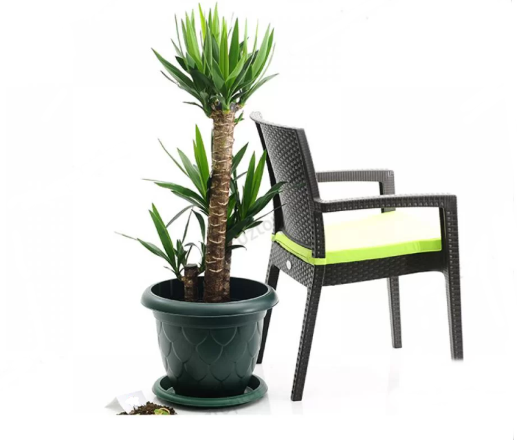 25 Litre Plant Pot. Large Plant Pot and Saucer. Flower Planter Plant Pot UK.