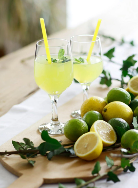 Extra Large Red Wine Glasses. Stemware Wine Goblets. (Pack of 6) (480 cc/ml).