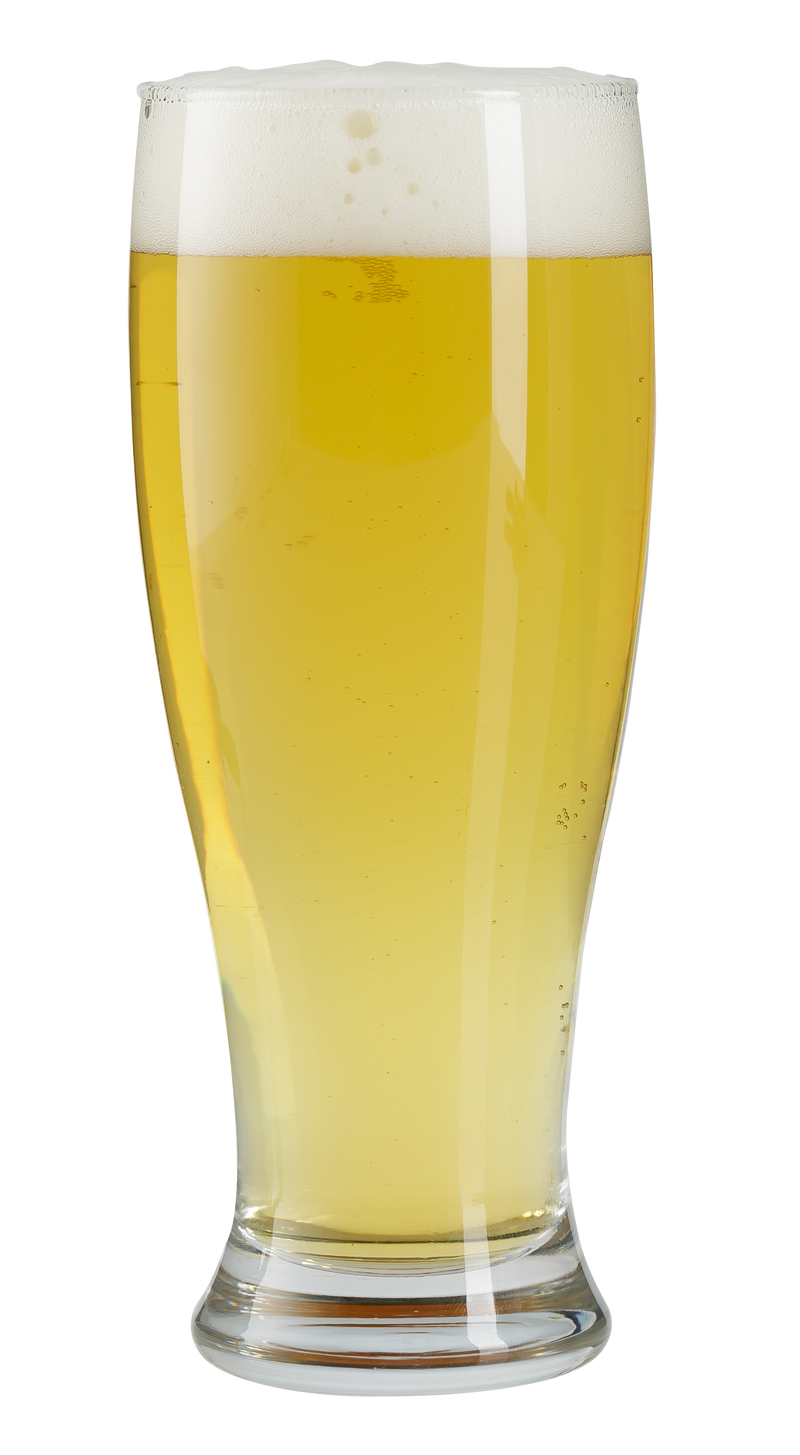 Half Pint Beer Pilsner Glasses. Plain Modern Style. (Pack of 6) (330 cc/ml)