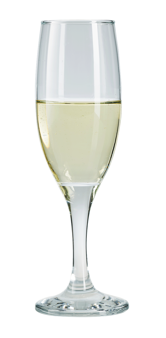 Champagne Flute Glasses. Long Steam Prosecco Glass. Party Drinkware. (Pack of 6)