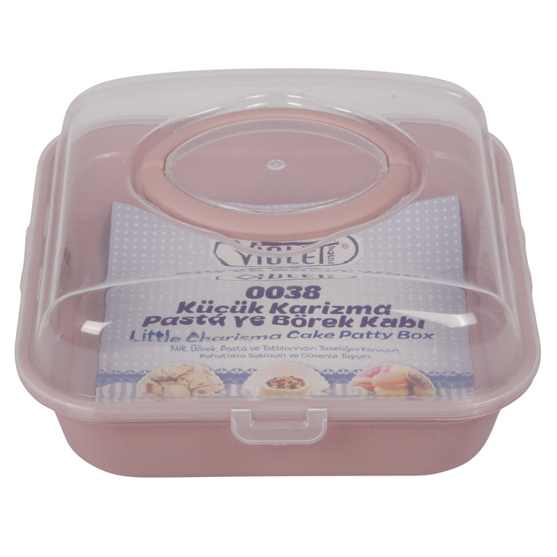 Square Cake Carrier. (25.5 x 25.5 cm)