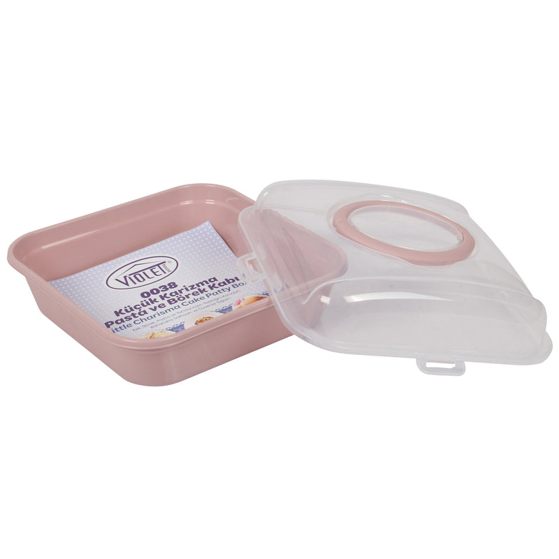 Square Cake Carrier. (25.5 x 25.5 cm)