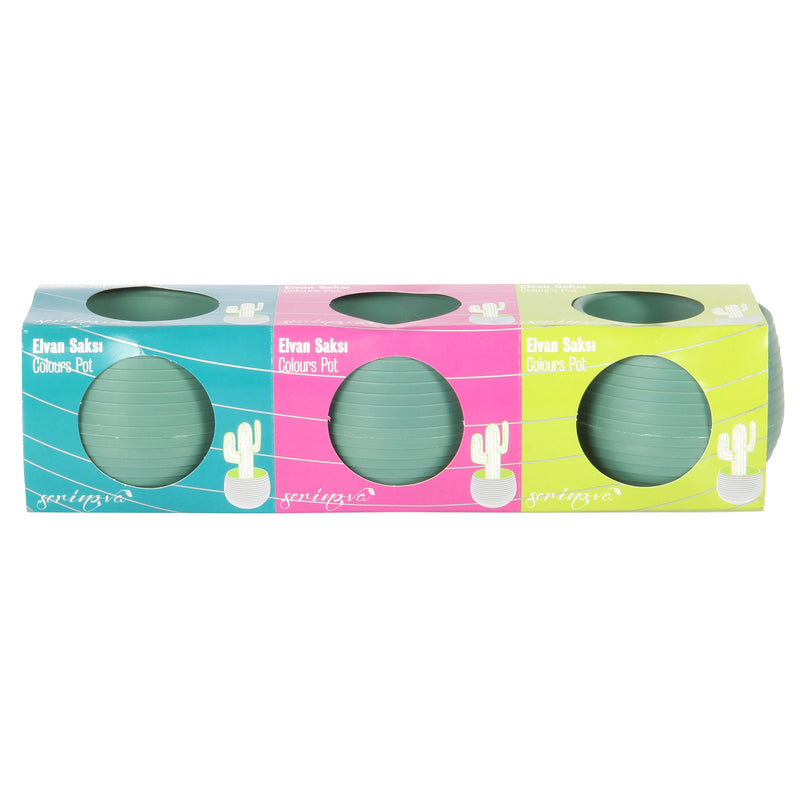 Small Flower Pot. Decorative Indoor Cactus Pot. (Pack of 3) (0.13L / 0.51L / 1.3L)