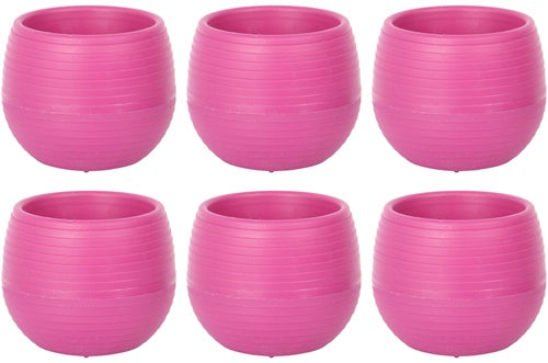 Small Flower Pot. Decorative Indoor Cactus Pot. (Pack of 6) (0.13L / 0.51L / 1.3L)