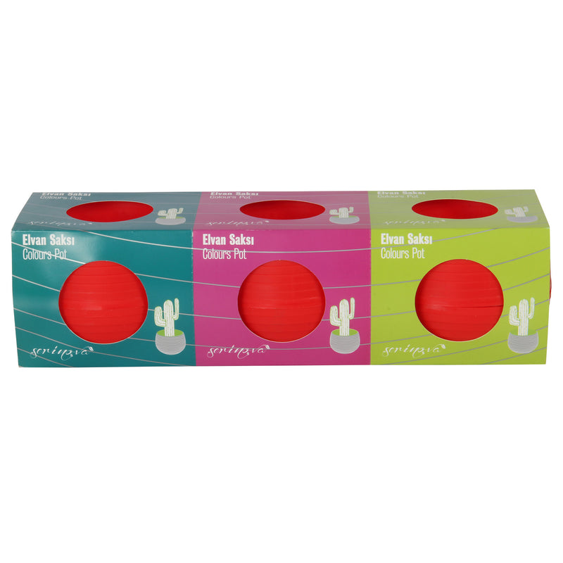 Small Flower Pot. Decorative Indoor Cactus Pot. (Pack of 3) (0.13L / 0.51L / 1.3L)