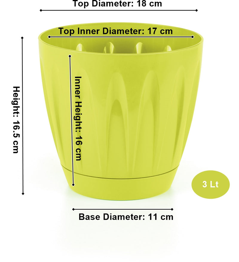Modern Daisy Round Flower Pot with Saucer. Indoor / Outdoor Flowerpot. (6 Sizes)