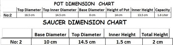 Plastic Round Flower Plant Pot & Saucer Planter. (Pack of 50) (No: 2)