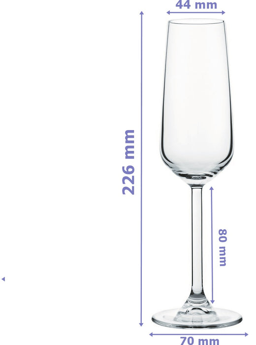 Pasabahce Champagne Flute Glasses
