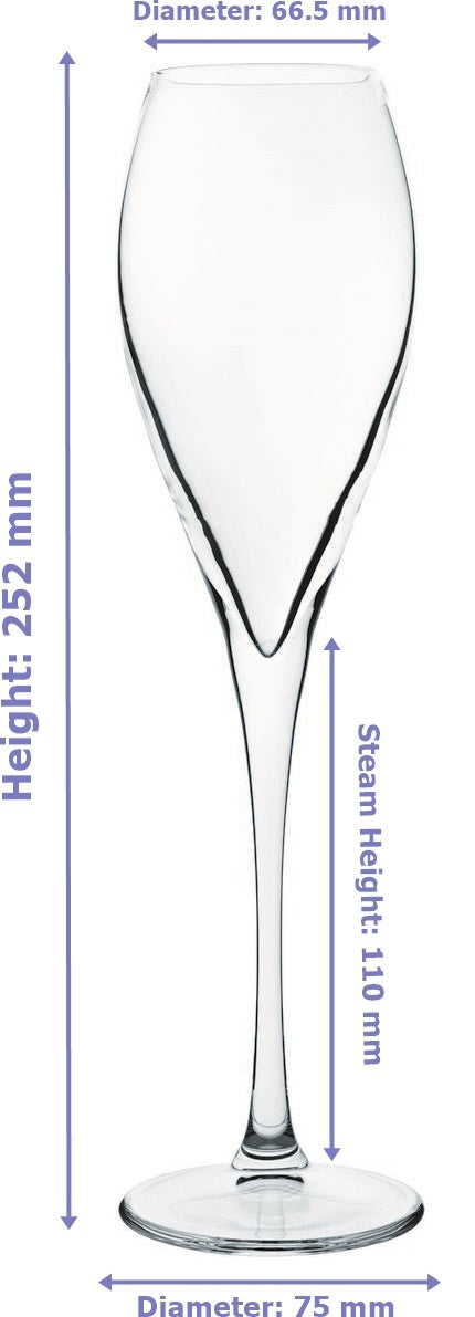 Pasabahce Monte Carlo Champagne Flute Glasses Set. Pack of 6. ( 225 ml. )