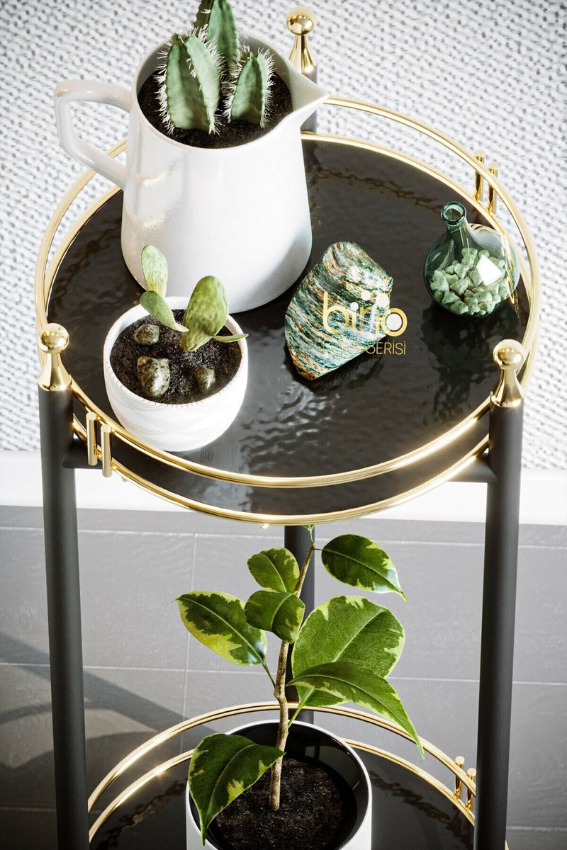 2 Layer Gold Serving Trolley. Flowerpot. Multifunctional Tray. Stainless Steel.