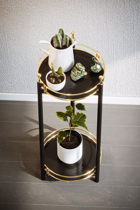 2 Layer Gold Serving Trolley. Flowerpot. Multifunctional Tray. Stainless Steel.