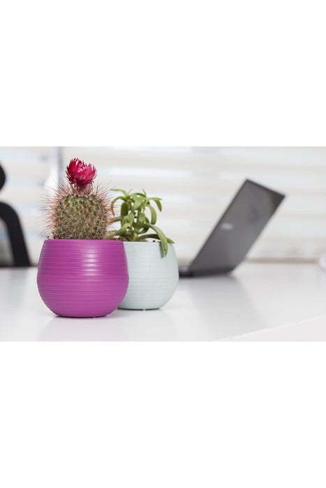 Small Colourful Flower Pot. Decorative Indoor Cactus Pot. (Pack of 9) (0.13L / 0.51L / 1.3L)