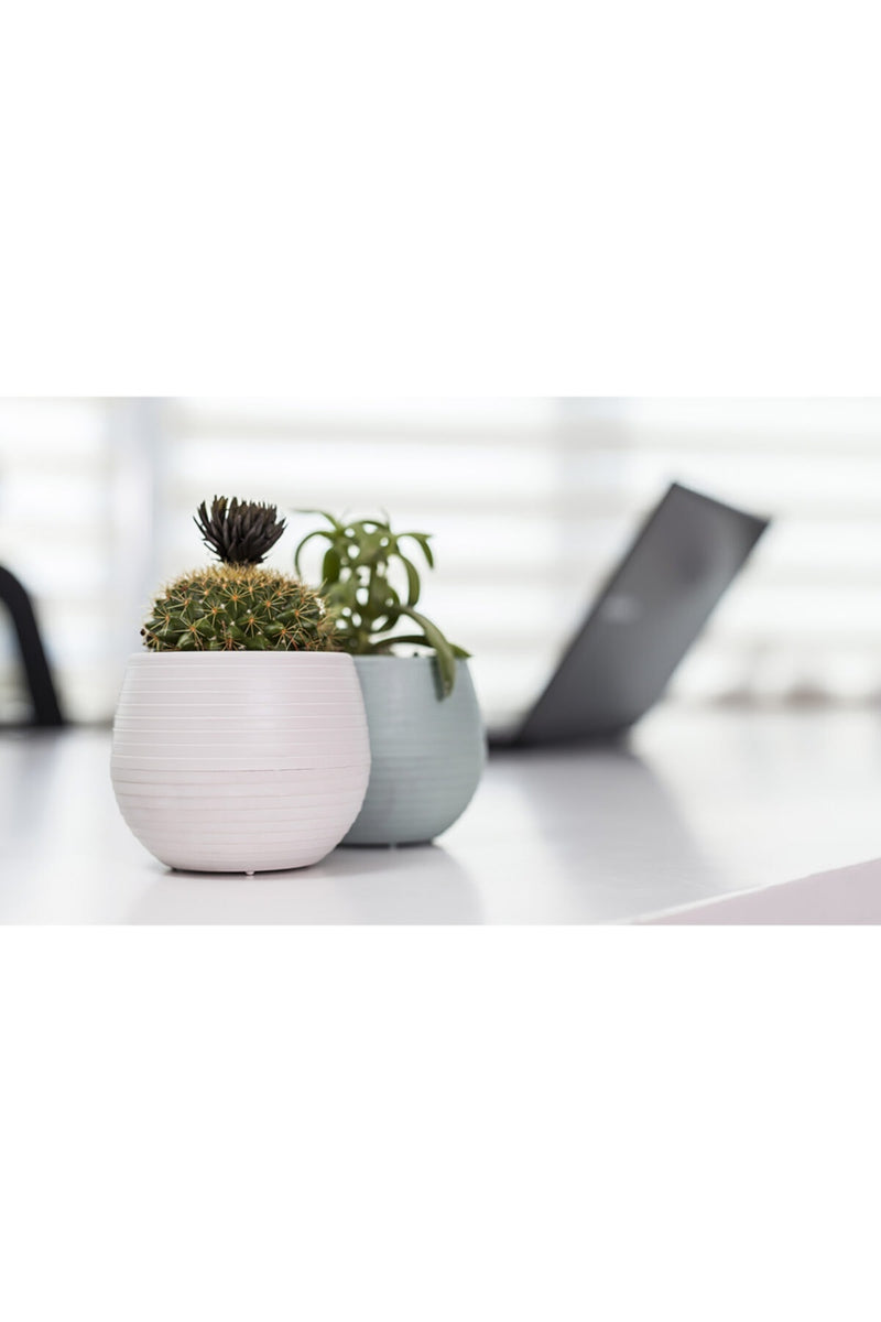 Small Colourful Flower Pot. Decorative Indoor Cactus Pot. (Pack of 9) (0.13L / 0.51L / 1.3L)