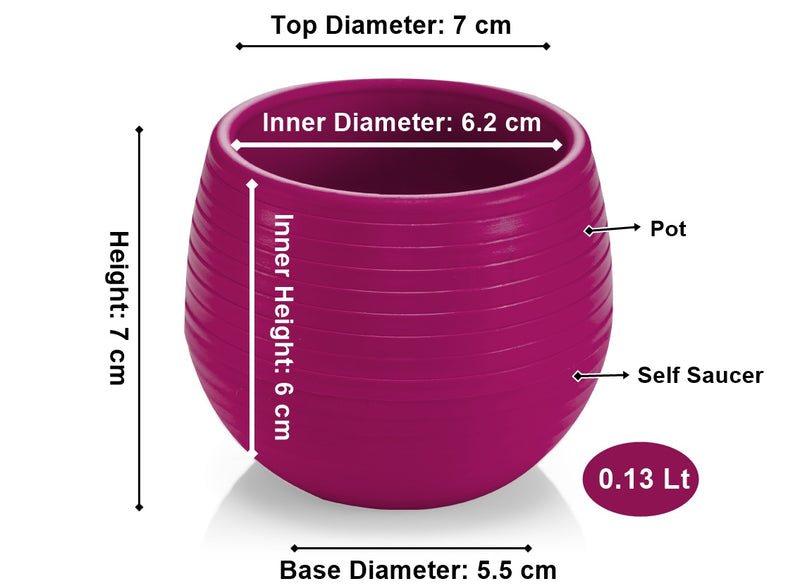 Small Flower Pot. Decorative Indoor Cactus Pot. (Pack of 3) (0.13L / 0.51L / 1.3L)