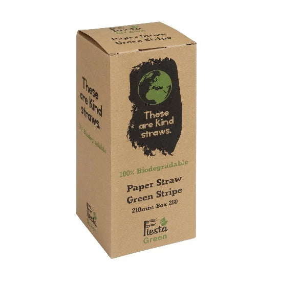 Paper Straw - Green Stripes