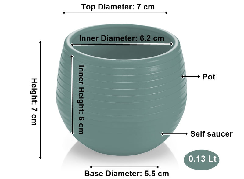 Small Flower Pot. Decorative Indoor Cactus Pot. (Pack of 6) (0.13L / 0.51L / 1.3L)