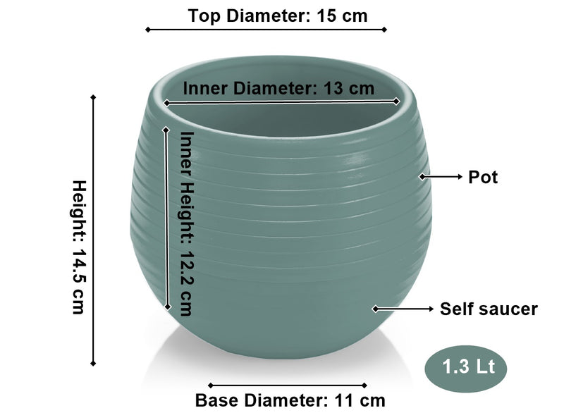 Small Flower Pot. Decorative Indoor Cactus Pot. (Pack of 6) (0.13L / 0.51L / 1.3L)