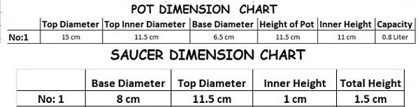 Plastic Round Flower Plant Pot & Saucer Planter. (Pack of 20)