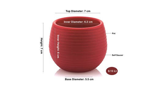 Small Colourful Flower Pot. Decorative Indoor Cactus Pot. (Pack of 6) (0.13L / 0.51L / 1.3L)