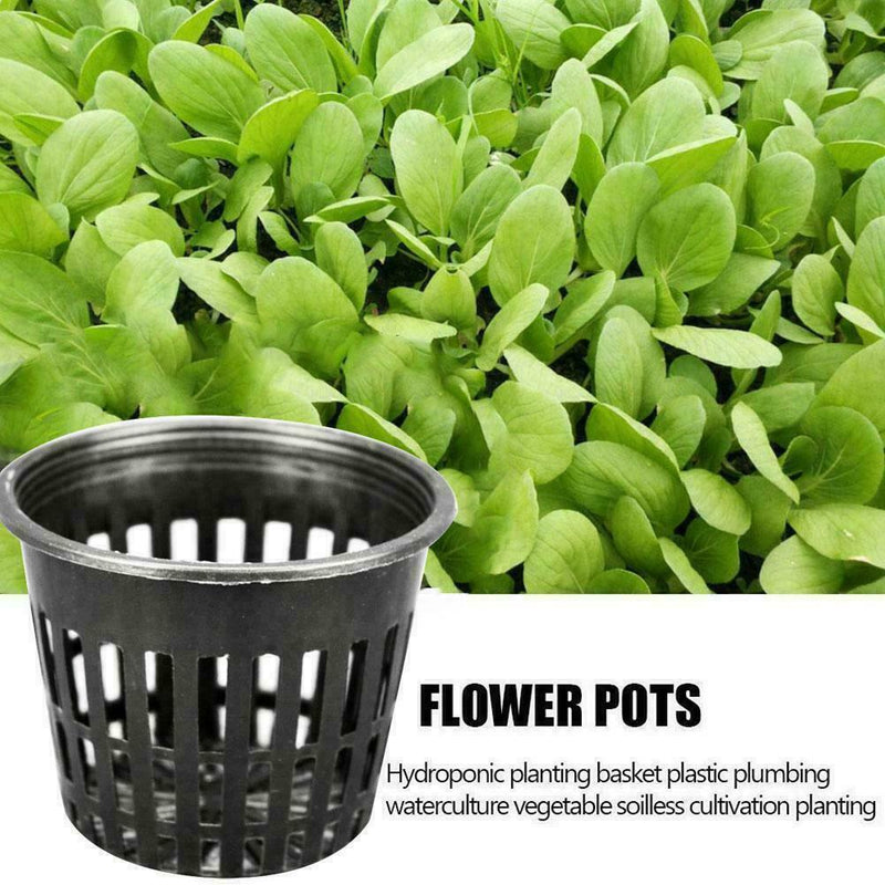 Extra Small Net Cup Pots Baskets. Plastic Hydroponic Pond. (10.000pcs) (0.1 Lt)