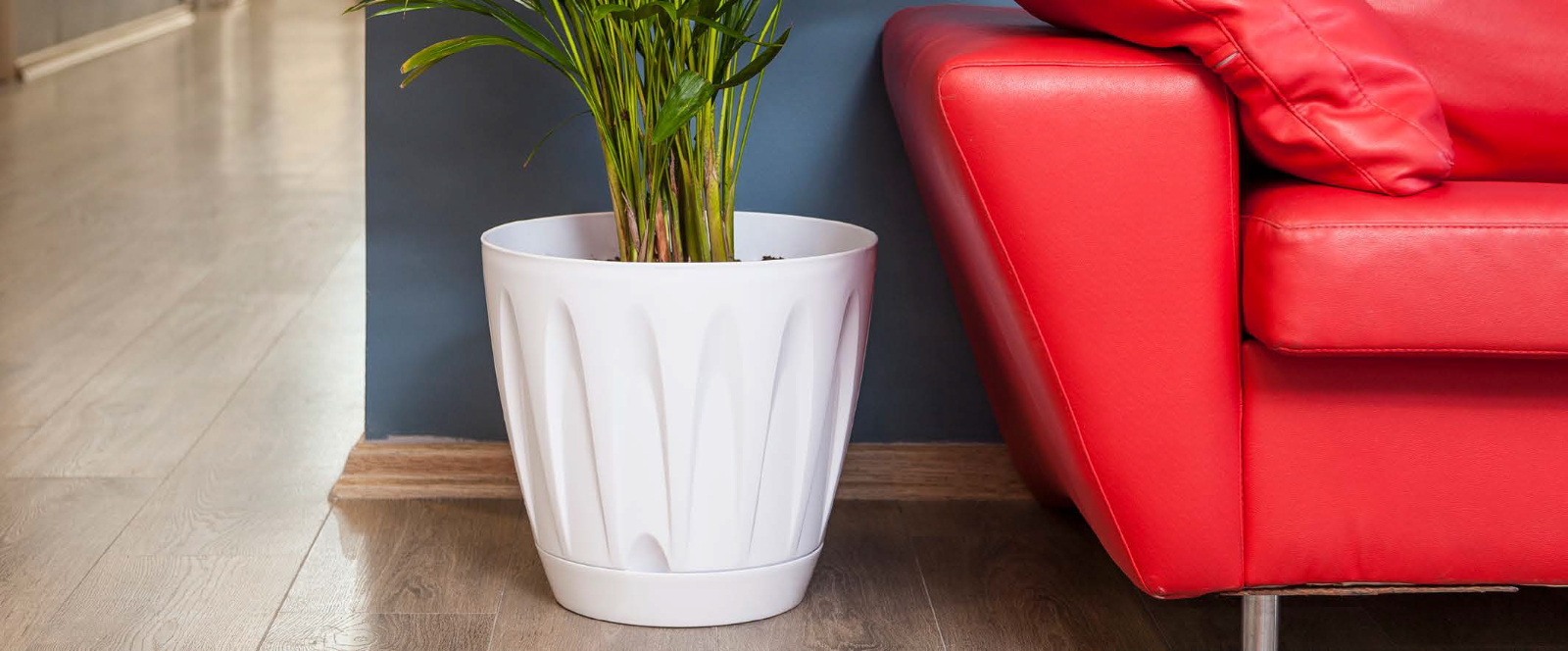 White Plastic Plant Pots with Drainage Holes UK. Indoor / Outdoor Flower Pots.