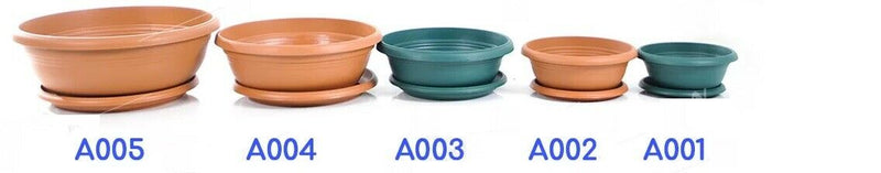 Decorative Flower Plant Pot and Saucer. Round Flat Pot Planter. (6 Sizes).