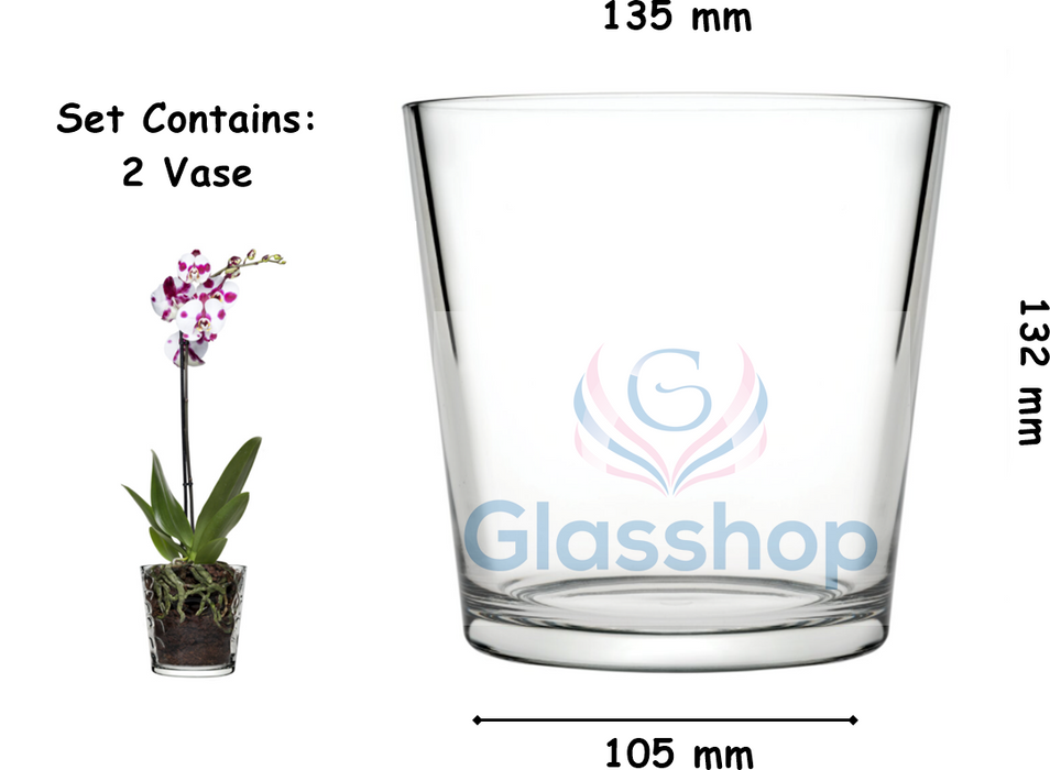 2x Glass Orchid Flower Pot. Clear Plain Design Classic Round Vase. Decorative Pot.