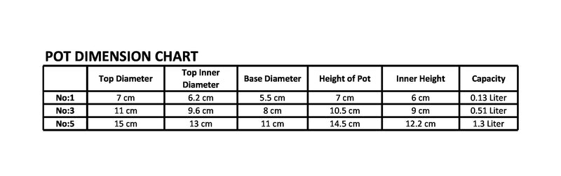 Small Flower Pot. Decorative Indoor Cactus Pot. (Pack of 6) (0.13L / 0.51L / 1.3L)