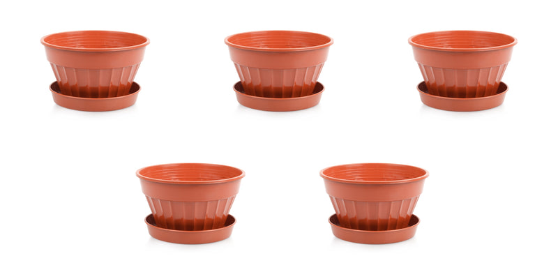 Mini Sizes Plastic Flower Plant Pot and Saucer. Decorative Flat Pot Planter.