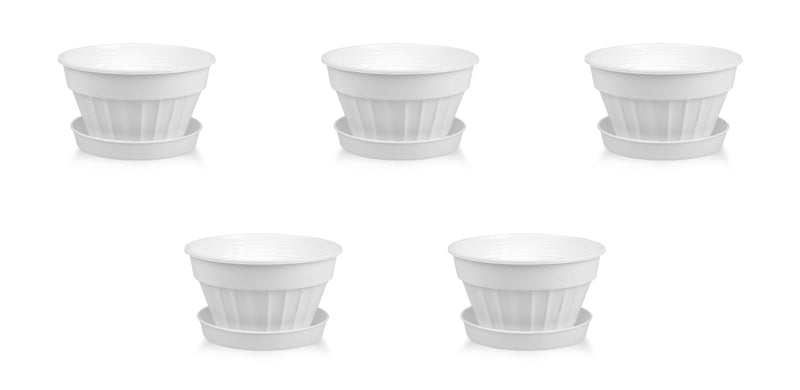 Mini Sizes Plastic Flower Plant Pot and Saucer. Decorative Flat Pot Planter.